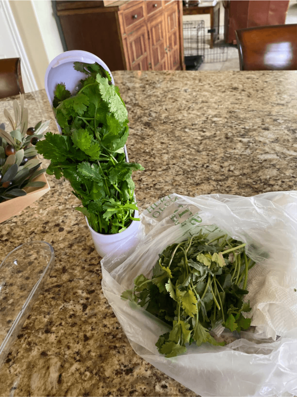 Sacinha murcha comp Sacinha murcha comp