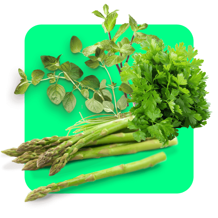 Tempero Fresco 2 Tempero Fresco 2